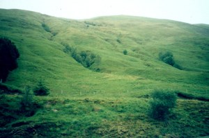 tracks of God's tears