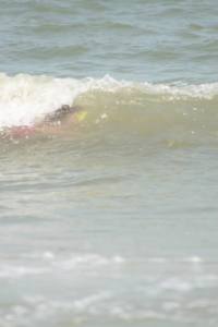 searching the ocean floor